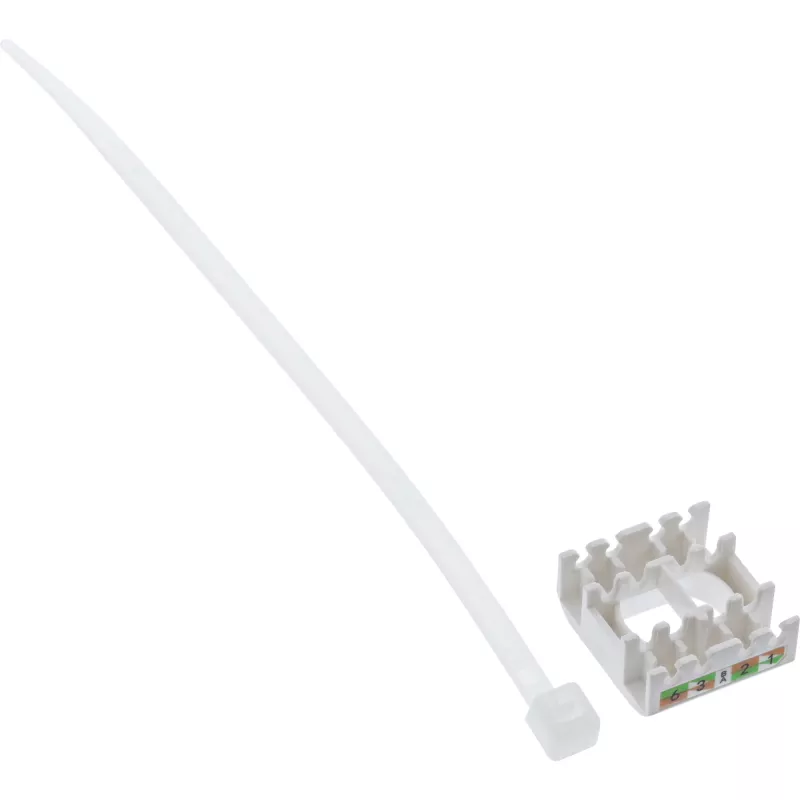 InLine Moduł Keystone Jack RJ45 Snap-In Kat.8.1 Płaski Metaliczny 1 szt.
