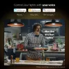 Zestaw startowy inteligentnego oświetlenia LED Philips Hue biały and Colour Ambience — 2× żarówki E27 11W, Bluetooth/Zigbee