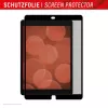 Displex TABLET PRIVACY SAFE zdejmowalny dwukierunkowy filtr prywatyzujący do iPada 10,2 inch (7./8./9. gen.)