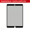 Displex TABLET PRIVACY SAFE zdejmowalny dwukierunkowy filtr prywatyzujący do iPada 10,2 inch (7./8./9. gen.)