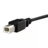 StarTech.com 3 ft Panel Mount USB kabel B to B - F/M, 0,91 m, USB B, USB B, USB 2.0, 0,48 Gbit/s, Czarny
