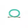 BlueOptics ASR8-BO InfiniBand kabel światłowodowy 5 m 2x LC LC/APC