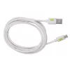Kabel USB Techly ICOC MUSB20-CMAM20TW USB 2.0 2 m USB A USB C Biały