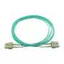 BlueOptics SFP3232EU1MK światłowodowy kabel InfiniBand 1 m SC zielony