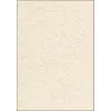 Arkusze papieru artystycznego Sigel DP655 50 arkuszy beżowy 200 g/m²