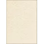 Arkusze papieru artystycznego Sigel DP655 50 arkuszy beżowy 200 g/m²