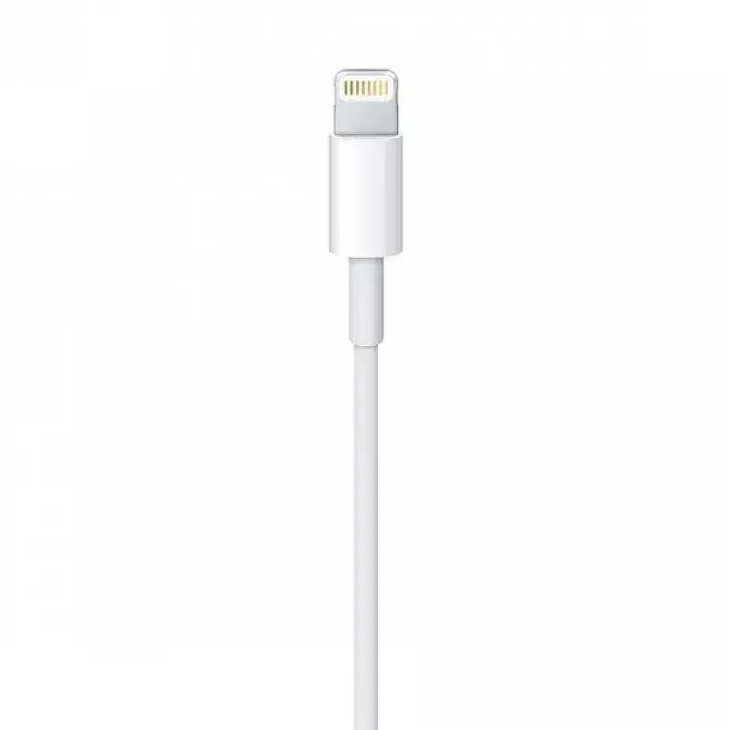 Kabel Apple MQUE2ZM 1m biały