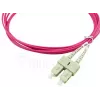 BlueOptics SFP3232FU2MK kabel światłowodowy InfiniBand 2 m 2x SC