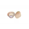 Drewniany magnes Legamaster 25 mm 5 szt.
