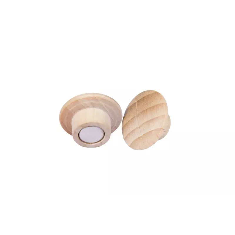 Drewniany magnes Legamaster 25 mm 5 szt.