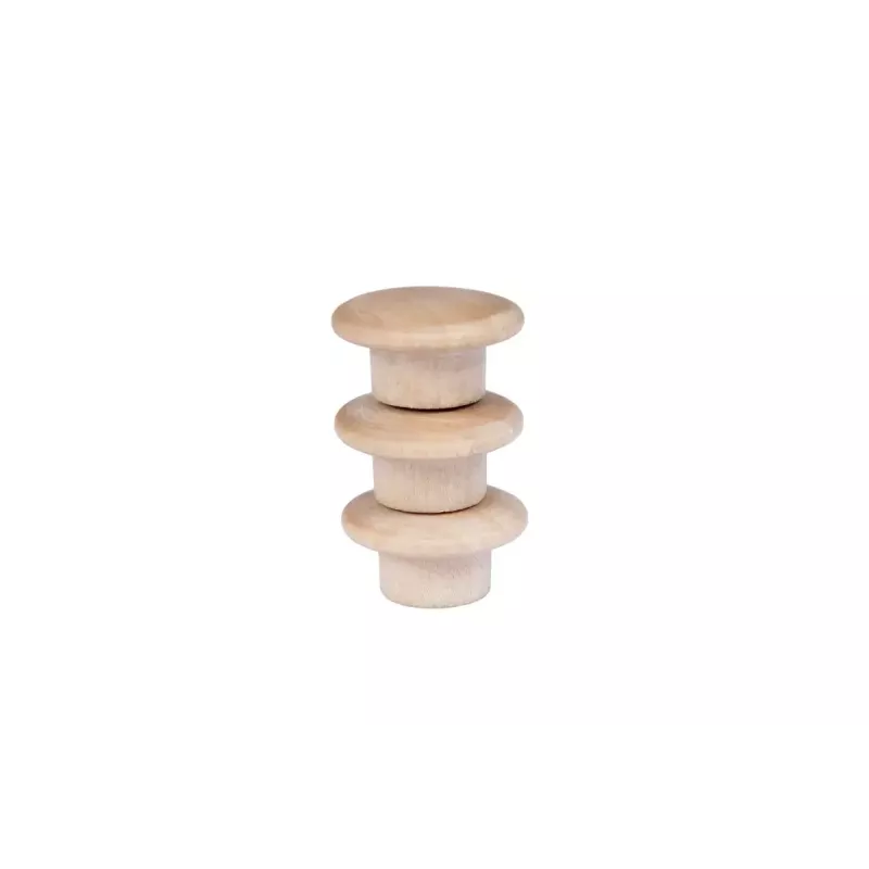 Drewniany magnes Legamaster 25 mm 5 szt.