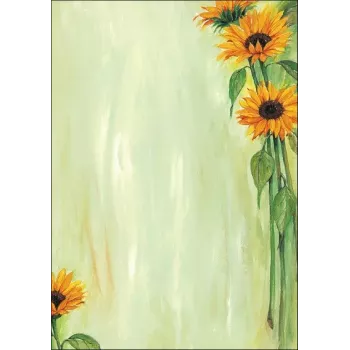 Arkusze papieru artystycznego Sigel DP694 25 arkuszy