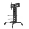 Techly ICA-TR8 uchwyt do wyświetlaczy reklamowych 177,8 cm (70 cali) Czarny