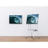 Uchwyt do telewizora Microsoft STPM1WALLMT 127 cm (50 cali) Szary