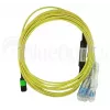 MPO-4xLC Singlemode Patch kabel BlueOptics CBL-MPO12-4LC-SMF-2M 2m G.657.A1