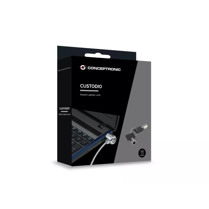 Conceptronic CNBSLOCK15 linka zabezpieczająca Srebrny 1.5 m