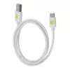 Techly ICOC MUSB20-CMAM10TW Kabel USB USB 2.0 1 m USB A USB C Biały