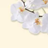 Art Paper Sigel DP904 50 arkuszy