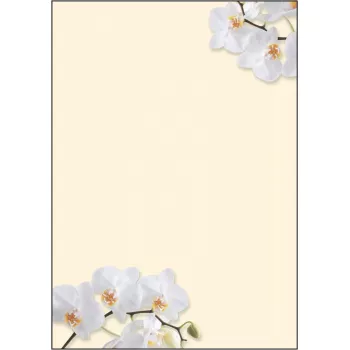 Art Paper Sigel DP904 50 arkuszy