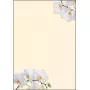 Art Paper Sigel DP904 50 arkuszy