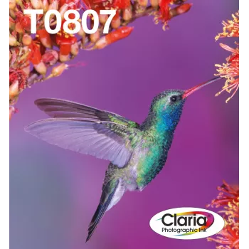 wkład atramentowy Multipack Epson Hummingbird T0807 — 6 kolorów (czarny, cyjan, jasny cyjan, jasny magenta, magenta, żółty)