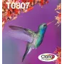 wkład atramentowy Multipack Epson Hummingbird T0807 — 6 kolorów (czarny, cyjan, jasny cyjan, jasny magenta, magenta, żółty)