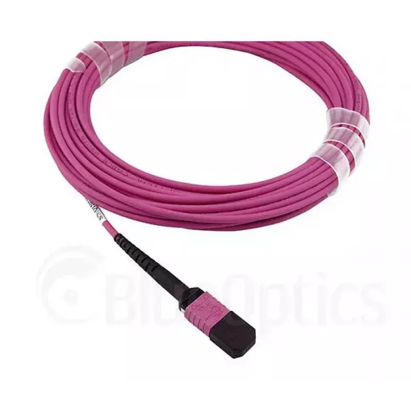 BlueOptics EMC CBL-MPO12-4LC-OM4-2M Kabel światłowodowy MPO 4x LC 2m
