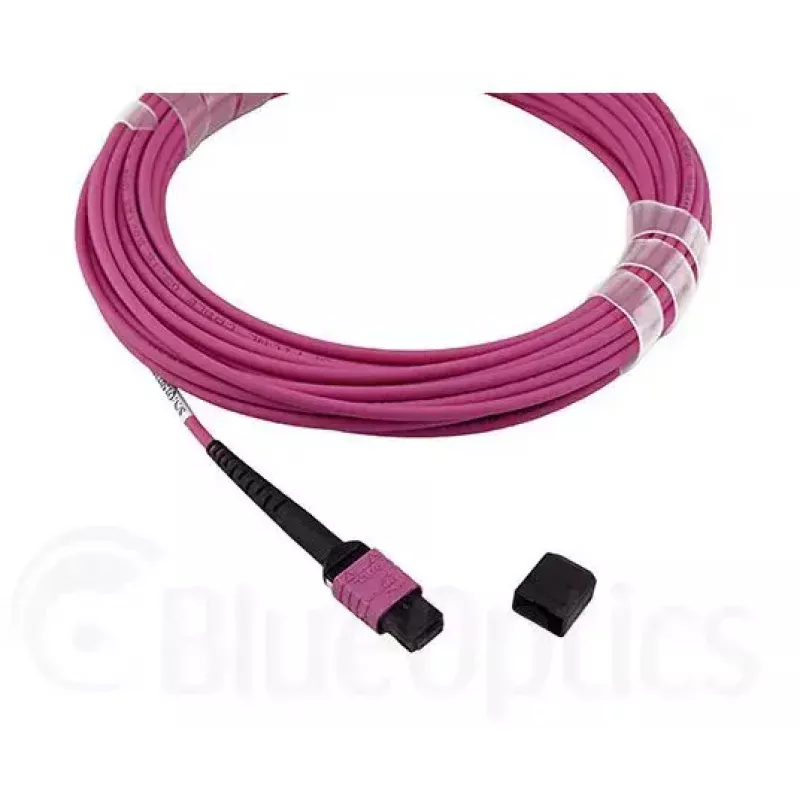 BlueOptics EMC CBL-MPO12-4LC-OM4-2M Kabel światłowodowy MPO 4x LC 2m