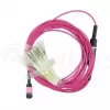 BlueOptics EMC CBL-MPO12-4LC-OM4-2M Kabel światłowodowy MPO 4x LC 2m