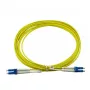 BlueOptics CAB-SMF-LC-LC-1-BO InfiniBand kabel światłowodowy 1 m LC/APC