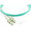 BlueOptics InfiniBand/kabel światłowodowy 10 m 2x LC 2x SC LC/APC