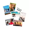 HP matowy papier fotograficzny 180 g/m² 10 x 15 cm (101 x 152 mm) 25 arkuszy