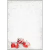Papier do druku A4 Sigel DP247 100 arkuszy Wielokolorowy
