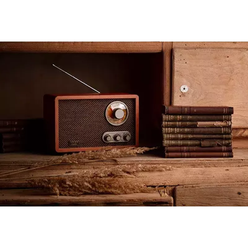 Radio przenośne Adler AD 1171 — AM/FM, 10 W RMS, Bluetooth, antena zewnętrzna, brązowy, 290×200×172 mm