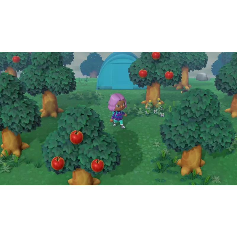 Nintendo Animal Crossing: New Horizons Standard Niemiecki, Angielski Nintendo Switch
