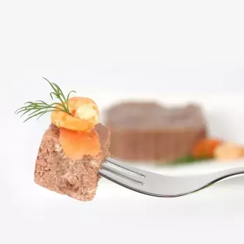 Mokra karma dla kota animonda Vom Feinsten Mature Salmon 100 g — dorosły, tacka, bezglutenowa i bezsojowa