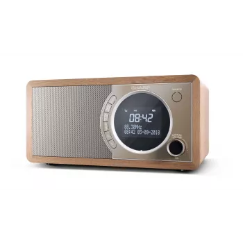 Sharp DR-450 Osobiste cyfrowe radio Brown, stal nierdzewna