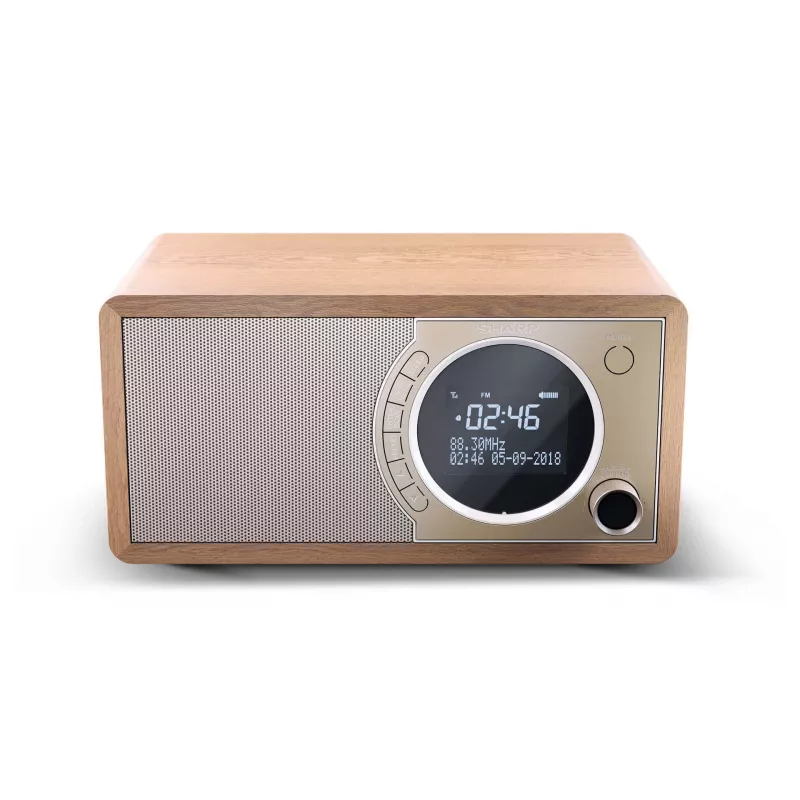 Sharp DR-450 Osobiste cyfrowe radio Brown, stal nierdzewna