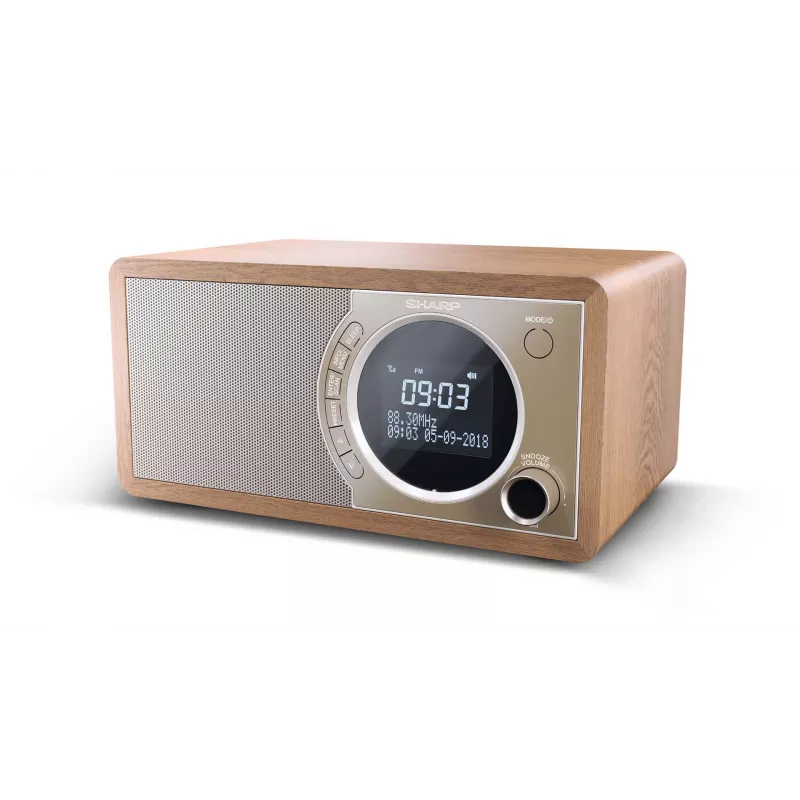 Sharp DR-450 Osobiste cyfrowe radio Brown, stal nierdzewna