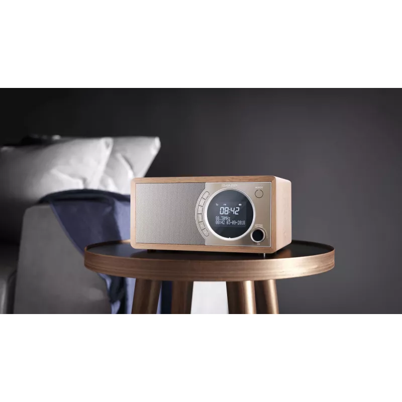 Sharp DR-450 Osobiste cyfrowe radio Brown, stal nierdzewna