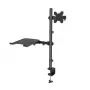 Manhattan Desk Mount for Monitors & Laptop Combo (Full Motion), ekrany: 10-27 cali, laptop do 17 cali, montaż zaciskowy, kompatybilność VESA: 75x75 i 100x100 mm, maks. 8 kg, uchwyt
