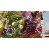 Bosch Serie 4 MSM4W210 blender 0,6 l Blender ręczny 600 W Czarny, Biały