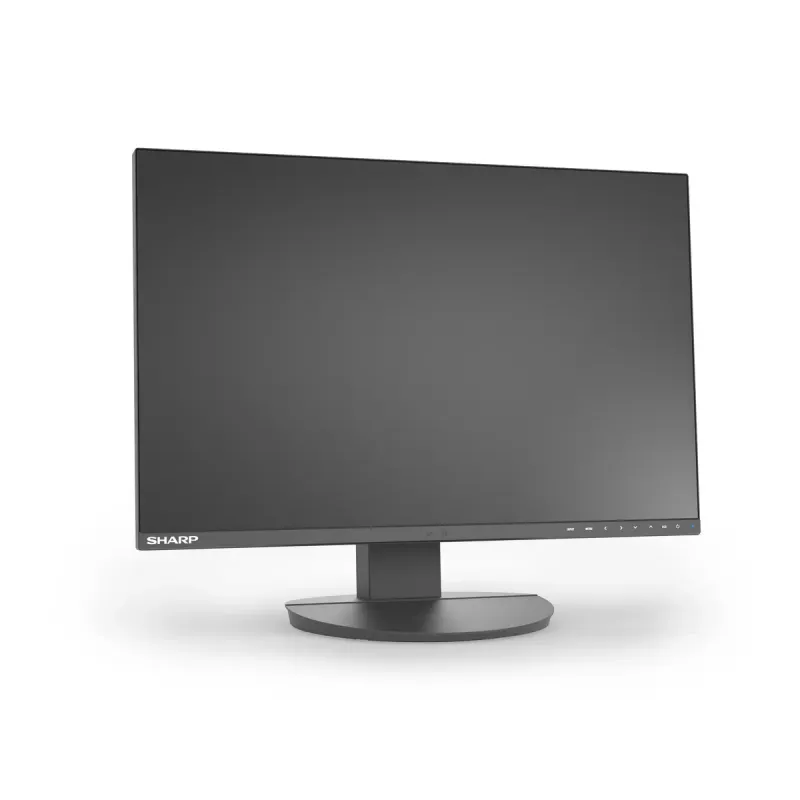 24-calowy monitor LCD Sharp MultiSync EA242W IPS 1920 x 1200 16:10 5 ms hub USB 3.2 VESA regulacja wysokości Czarny