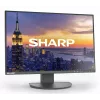 24-calowy monitor LCD Sharp MultiSync EA242W IPS 1920 x 1200 16:10 5 ms hub USB 3.2 VESA regulacja wysokości Czarny