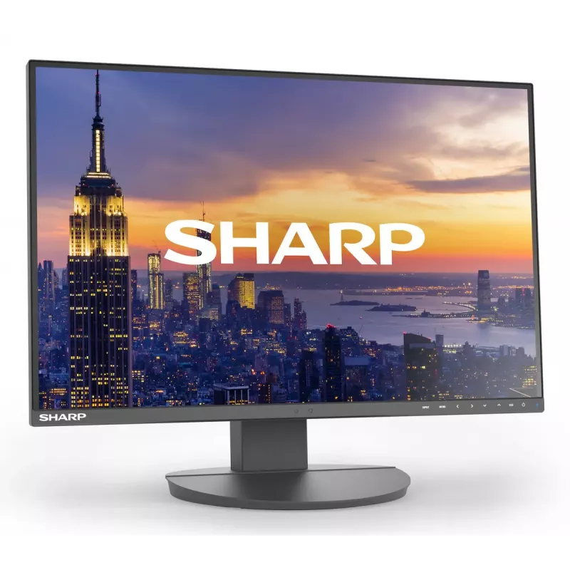 24-calowy monitor LCD Sharp MultiSync EA242W IPS 1920 x 1200 16:10 5 ms hub USB 3.2 VESA regulacja wysokości Czarny