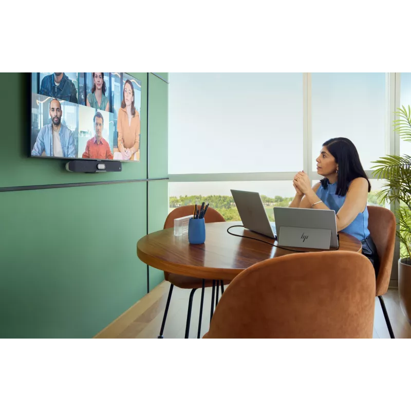 HP Series 5 Pro 14-calowy przenośny monitor WQXGA - 514pn