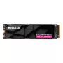 Kioxia Exceria PRO G2 2TB M.2 PCIe 5.0 NVMe SSD LVE10Z2T04G8