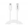 Kabel ładujący Sandberg USB-C > MicroUSB 1 m, 1 m, USB C, Micro-USB B, biały