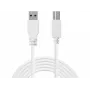 Kabel Sandberg USB 3.0 A-B 1,8 m, 1,8 m, USB A, USB B, USB 3.2 Gen 1 (3.1 Gen 1), 5 Gbit/s, Biały