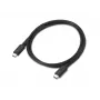 Lenovo | Kabel Thunderbolt 4 USB-C na USB-C, 1 m